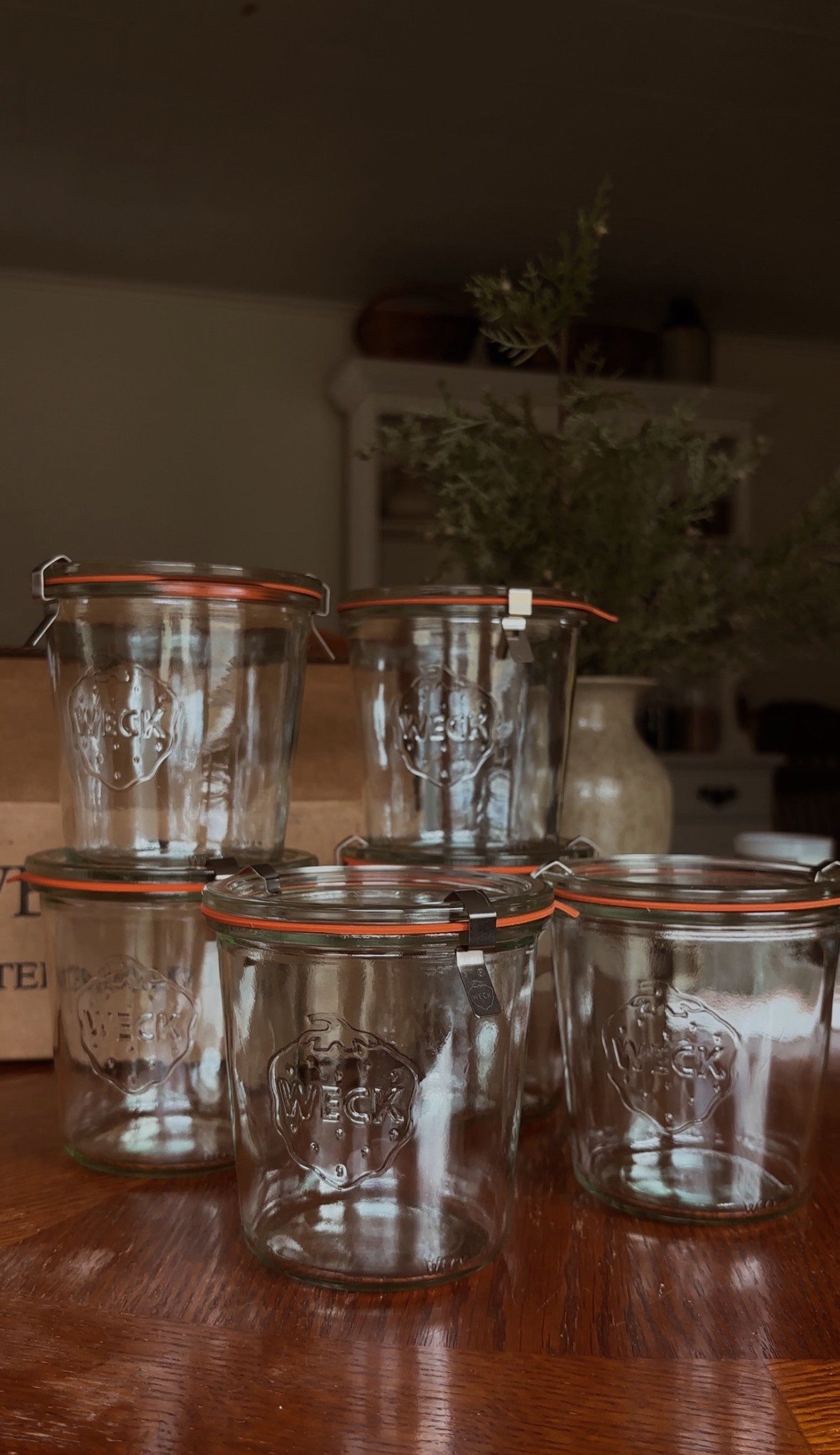 The perfect EVERYTHING glasses but especially your daily iced lattes 🤩

#LTKFindsUnder100 #LTKFindsUnder50