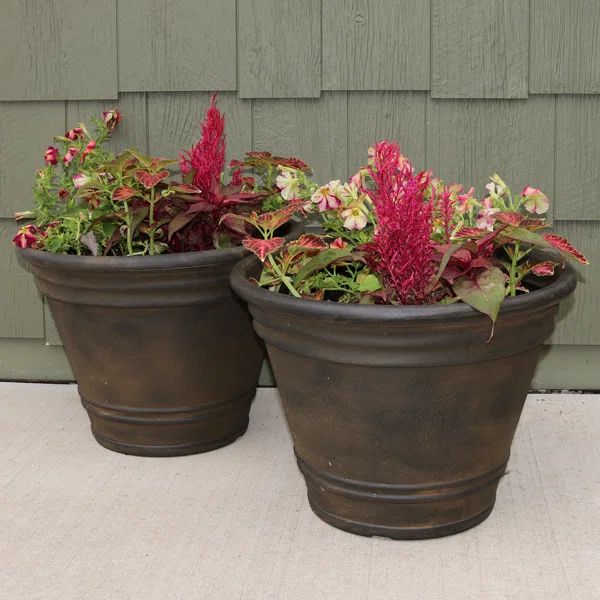 Pepinn Pot Planter | Wayfair North America