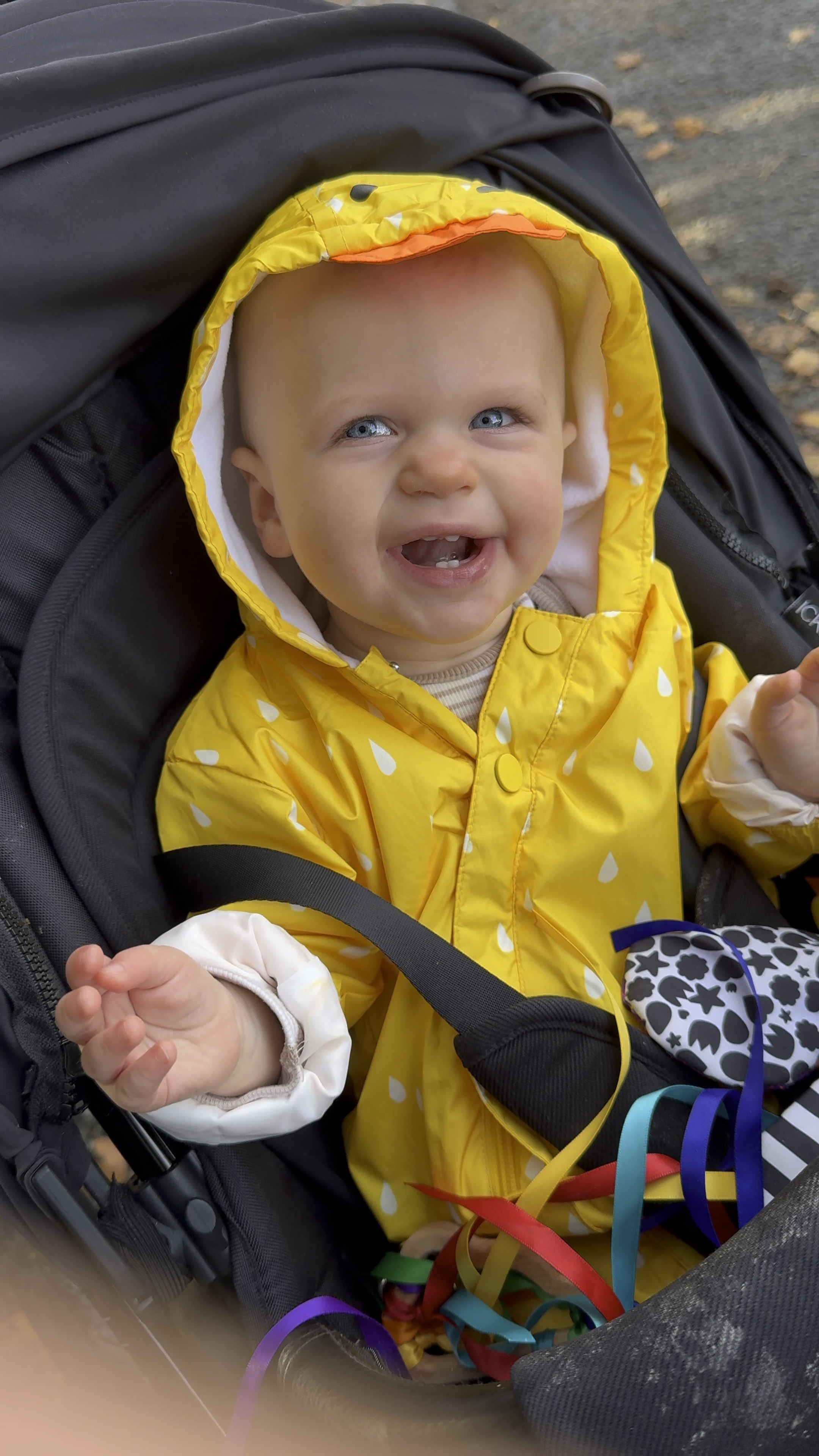 Cutest little waterproof suit for the winter park dates 🦆 🫶🏼



#LTKbaby #LTKfamily #LTKkids