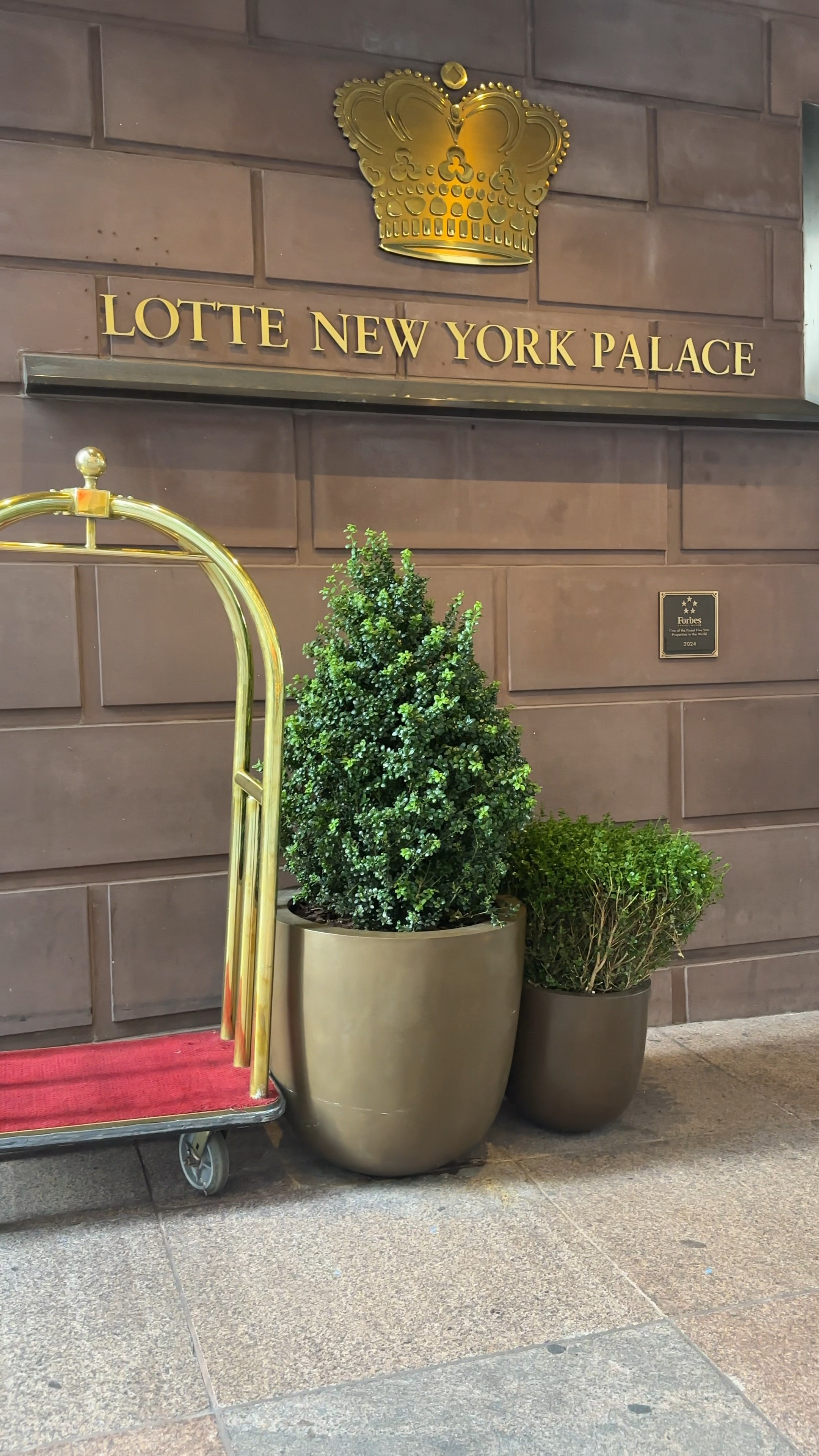 Lotte New York Palace. This is where Gossip Girl was filmed.
Inside was beautiful and very traditional. Staff was outstanding. Stay at some of my fav hotels from recent trips and I will also be tagging restaurants via Plannin.  

#LTKTravel