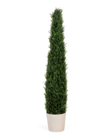 60in Outdoor Safe Faux Cypress Tree | TJ Maxx