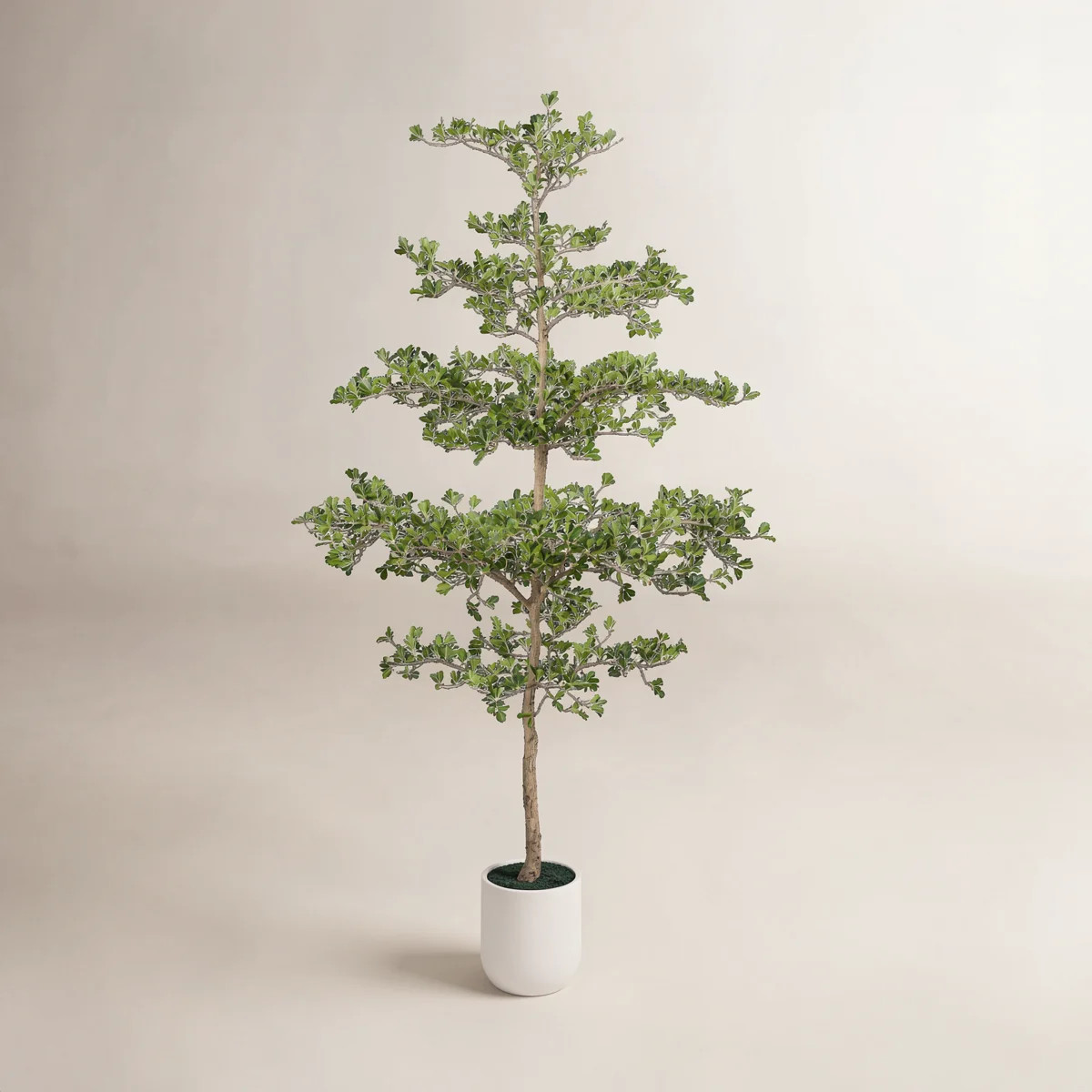 10ft Artificial Black Olive Tree With Large White Planter, Tall Faux Black Olive Tree Indoor, Dec... | Wayfair North America