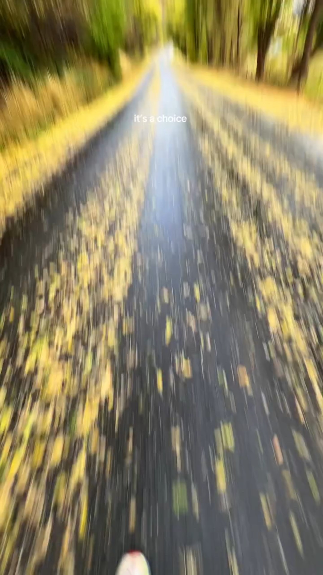 never easy, but it’s always worth it 💛
•
•
•
•
#runner #running #runrunrun #run #runningmotivation #marathontraining #runninginspiration #runners #marathoner #fallrun #fallrunning #falllalalala #fall #fallweather #runfast #runslow #runforfun #lovetorun #runhappy

#LTKSaleAlert #LTKU #LTKSeasonal