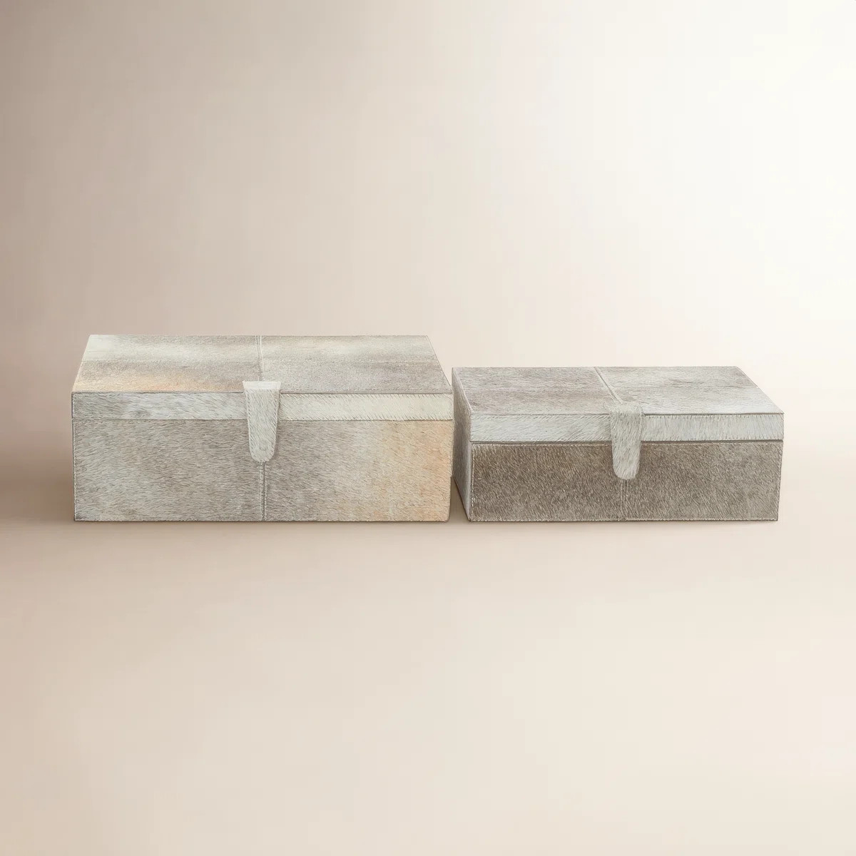 Georgine Natural Leather Hide and Wooden Decorative Box Set (Set of 2) | Wayfair North America
