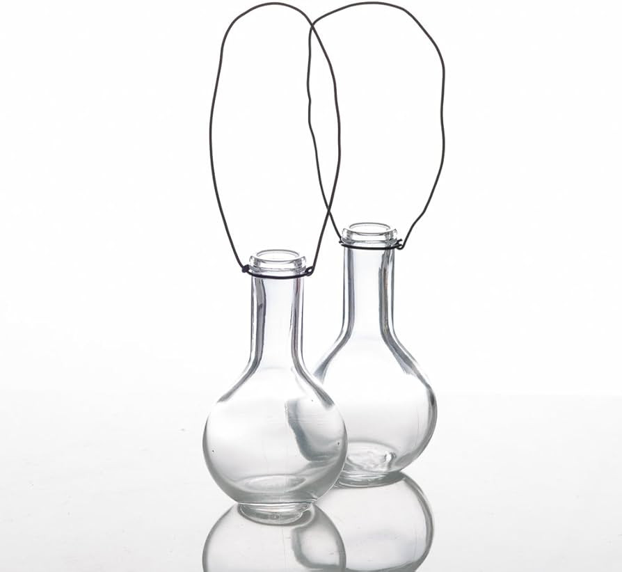 Richland Dainty Hanging Glass Vase Set of 12 | Amazon (US)
