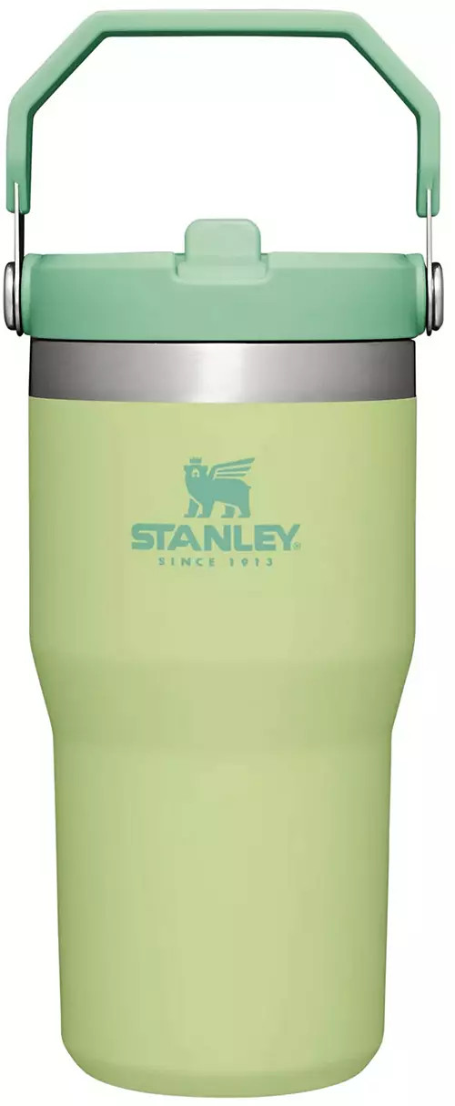 Stanley 20 Oz. IceFlow Tumbler with Flip Straw | Dick's Sporting Goods