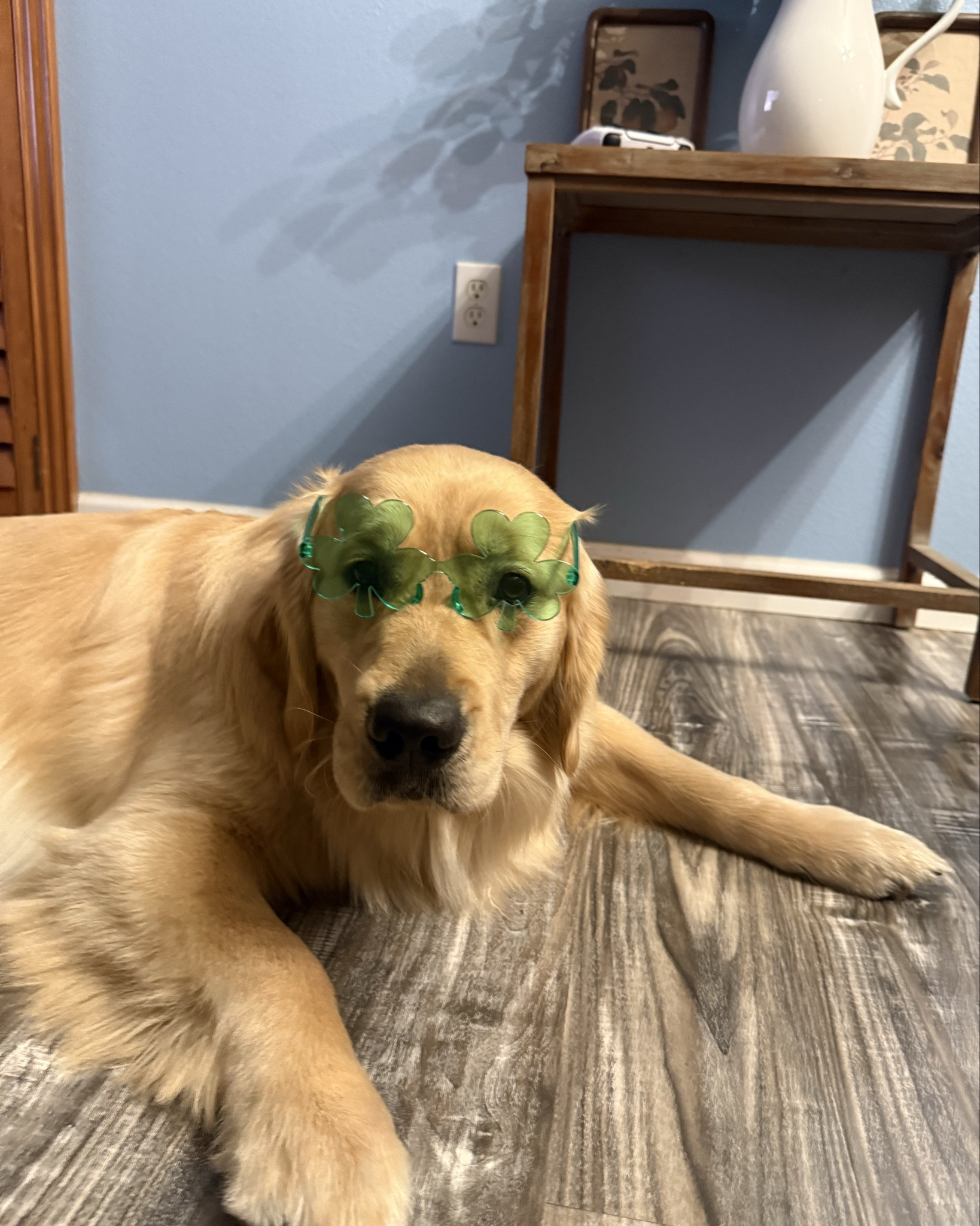 Just putting my dogs through more shenanigans💚 Happy St. Patrick’s Day ☘️ 


#dogmom #doglife #photoshoot #holidaystyle #holidayprop #stpatricksday #goldenretriever #goldenretrieverenergy

#LTKdayinmylife #LTKHome #LTKSeasonal
