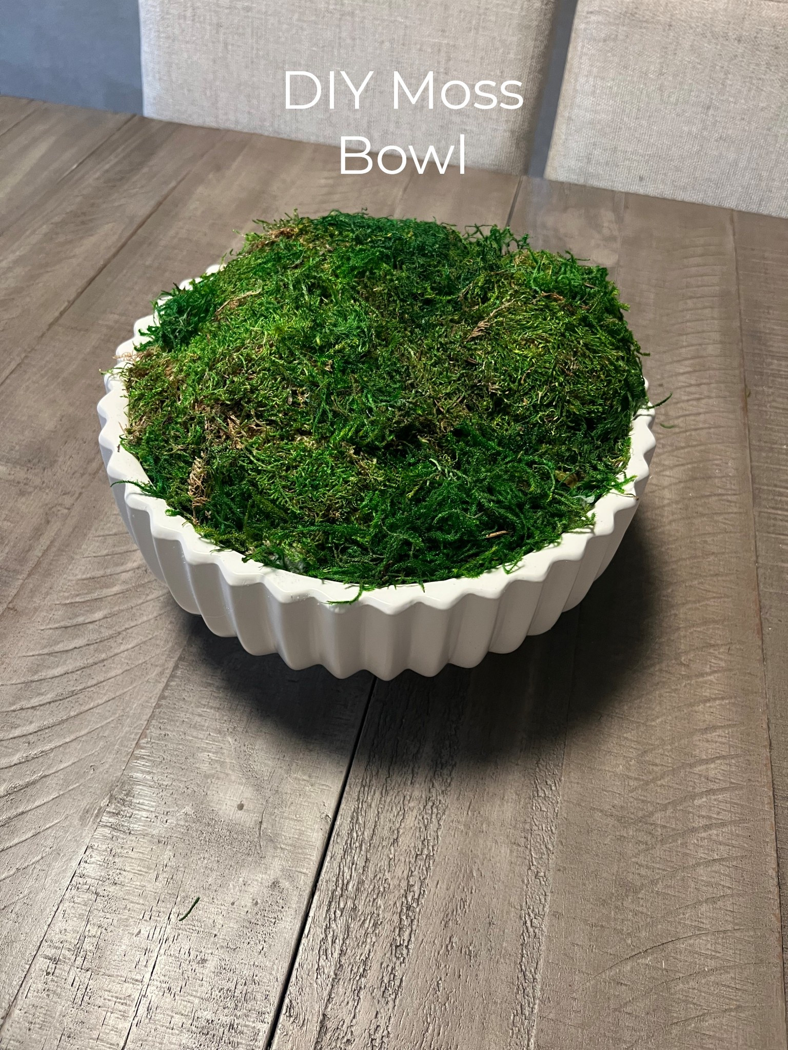Such an easy DIY and so cute! Moss bowl for $30 

DIY, home decor, aesthetics 

#LTKFindsUnder50 #LTKHome #LTKStyleTip