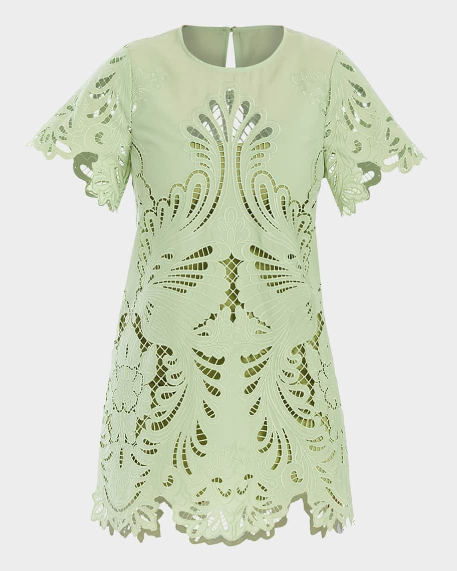 Mestiza New York Lupe Cutout Embroidered Mini Dress | Neiman Marcus