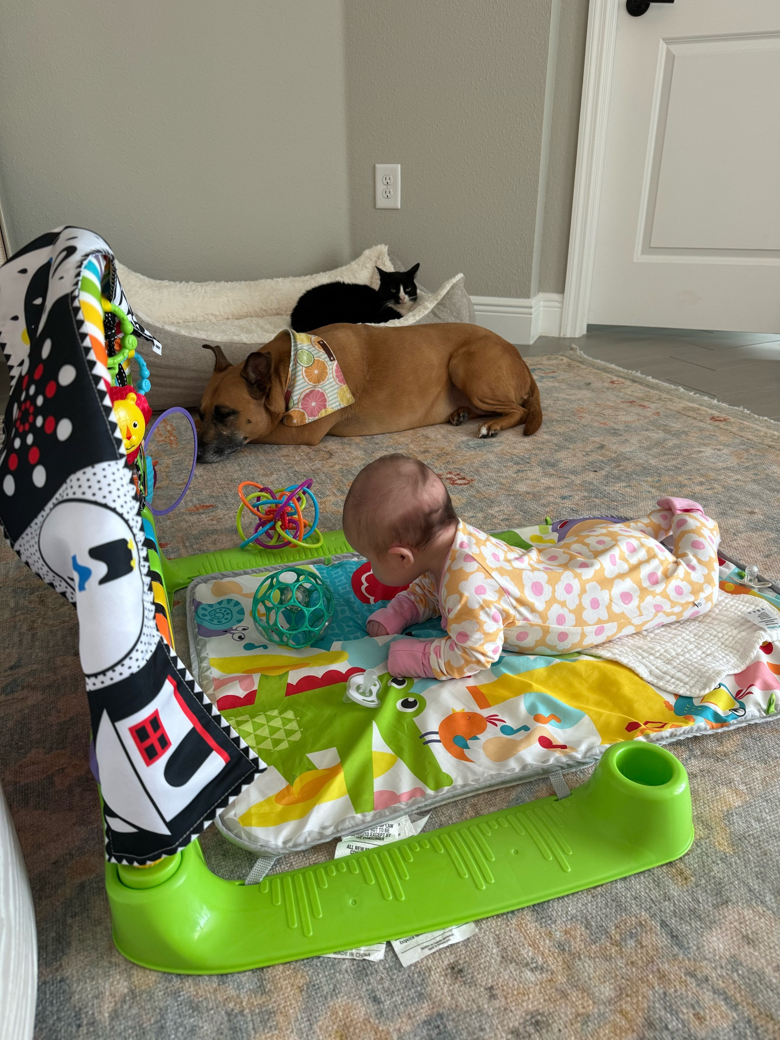 Play time! What is keeping my little entertained! 

#LTKBaby #LTKKids