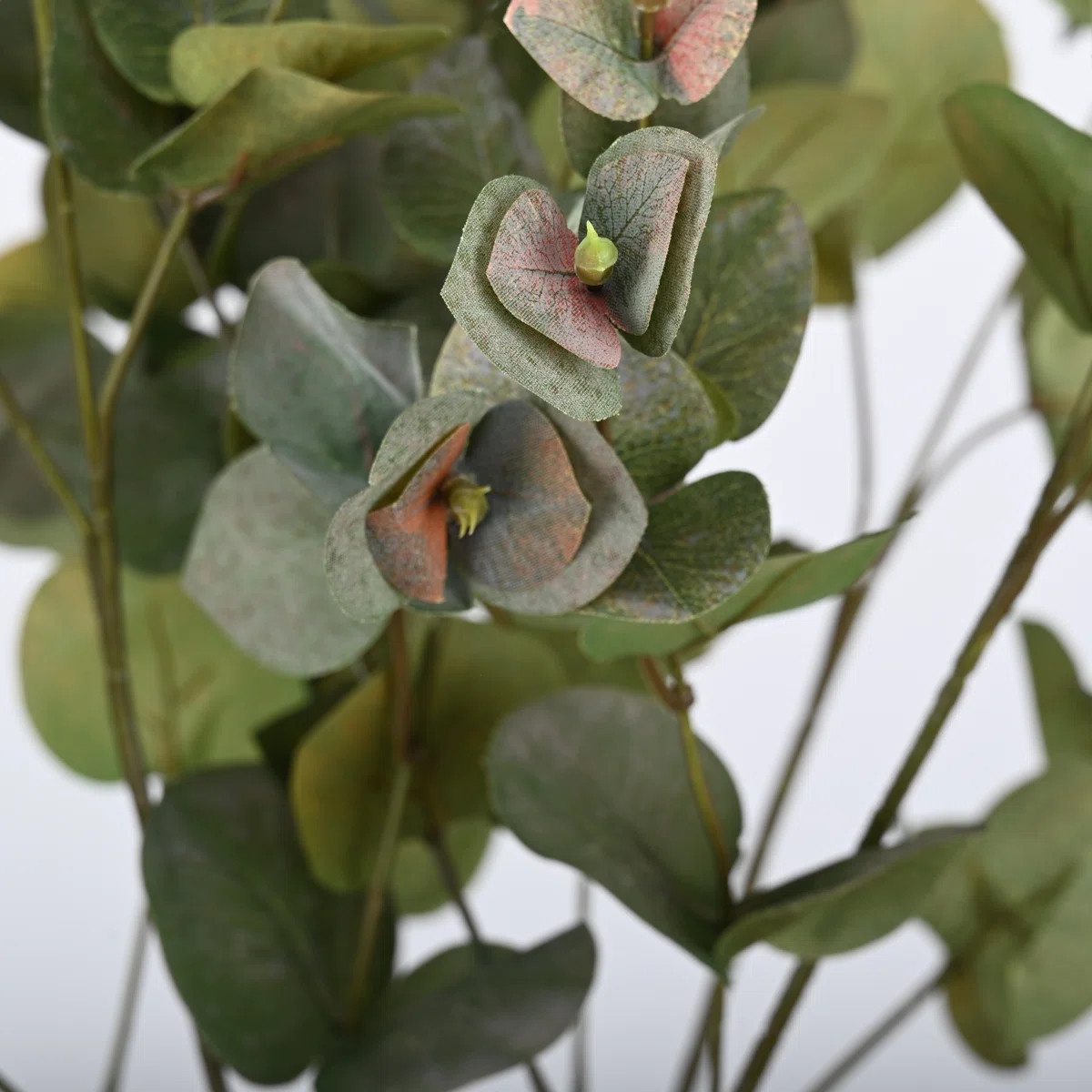 Hamlin Silk Eucalyptus Arrangement (Set of 5) | Wayfair North America