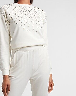 Embellished Crew Neck Sweatshirt | Express