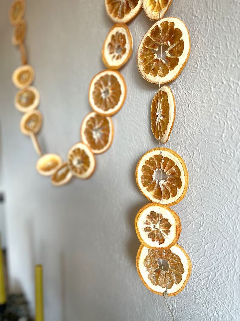 Dried Citrus Garland // Orange // Lime // Lemon // Grapefruit - Etsy | Etsy (US)