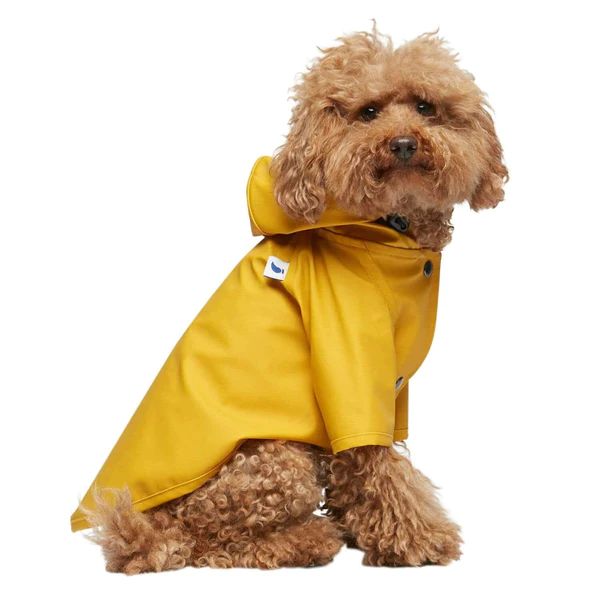 Sarah Style 05 Yellow Dog Raincoat | Design Milk