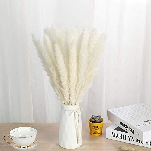 Dried Pampas Grass Decor Tall - 45cm Natural Dried Pampas Grass 30 Pcs Bouquet for Wedding Floral... | Amazon (US)