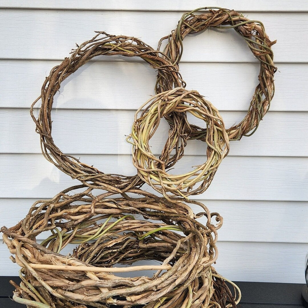 Honeysuckle and Bittersweet Handmade Wreaths - Etsy | Etsy (US)