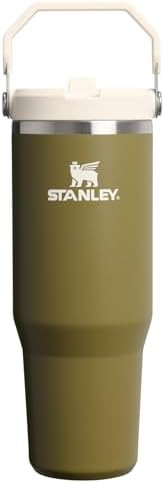 STANLEY IceFlow 2.0 Flip Straw Tumbler with Handle 30 oz | Twist On Lid and Flip Up Straw | Leak ... | Amazon (US)