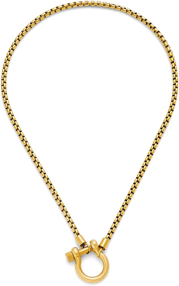 TONLUYAX Gold/Silver Chunky Horse Bit Necklace for Women Carabiner Lock Pendant Necklace Statemen... | Amazon (US)