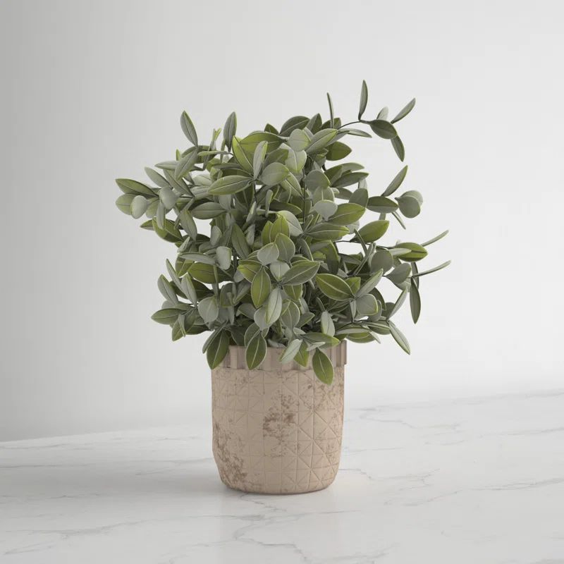 11.5'' Faux Eucalyptus Plant in Ceramic Pot | Wayfair North America
