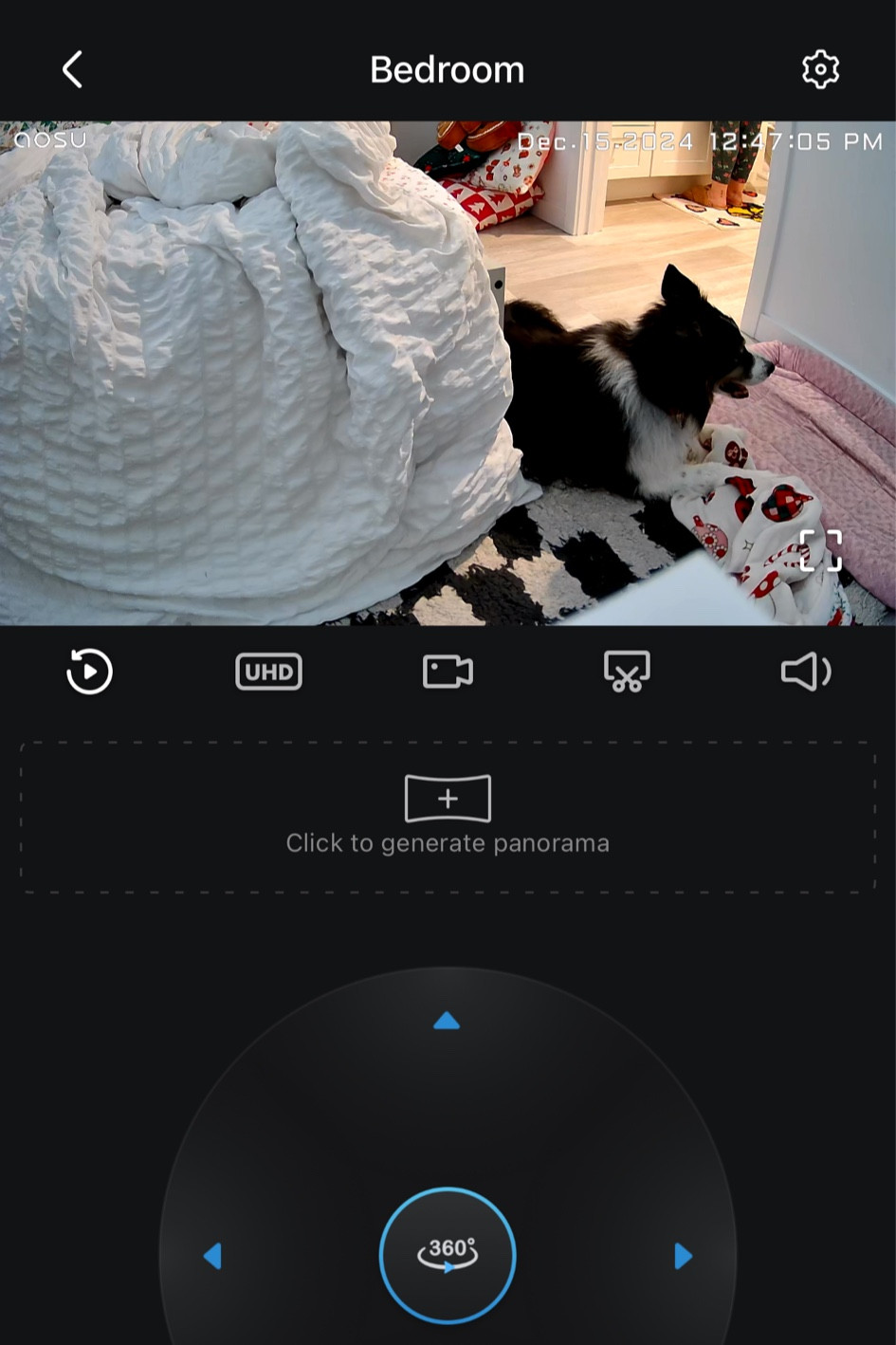 DOGGIE CAMERA 🎥🐾

#LTKBaby #LTKKids #LTKFamily