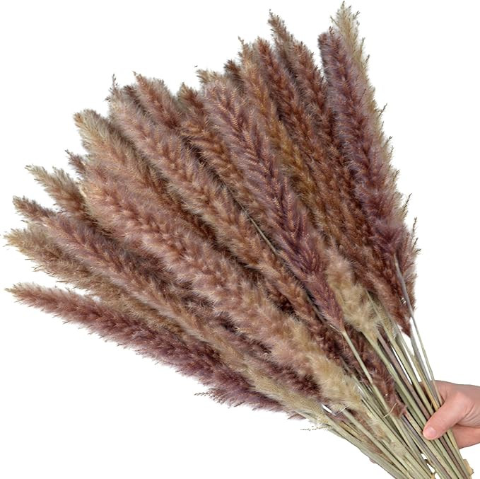 FOTEEWL Dried Pampas Grass 30 Pcs,Pompous Grass for Vase Flower Arrangement Wedding Kitchen Home ... | Amazon (US)
