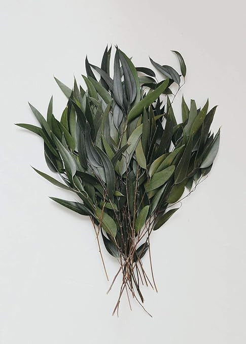 Vickerman 18" Green Weeping Willow Eucalyptus Foliage, 5 oz Bundle, Preserved | Amazon (US)