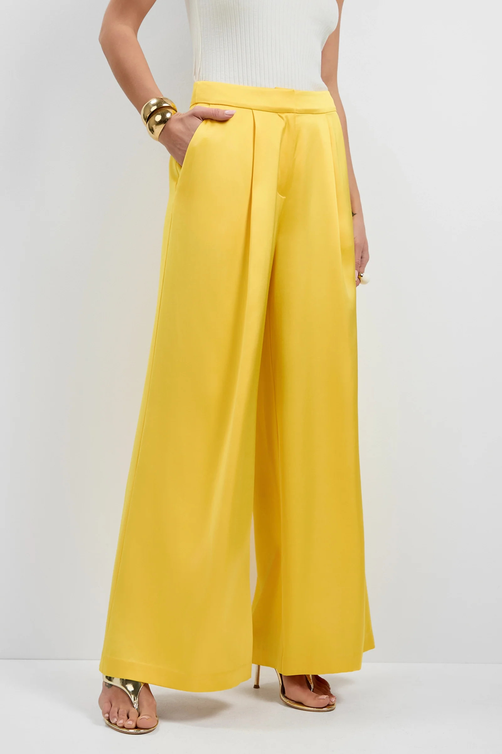 Pontaccio Satin Pants | Trina Turk