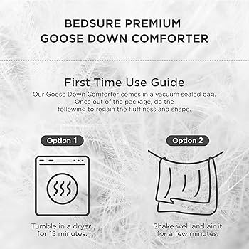 Bedsure Goose Down Comforter Queen Size - Feather Down Comforter Queen for All Seasons, Extra Flu... | Amazon (US)