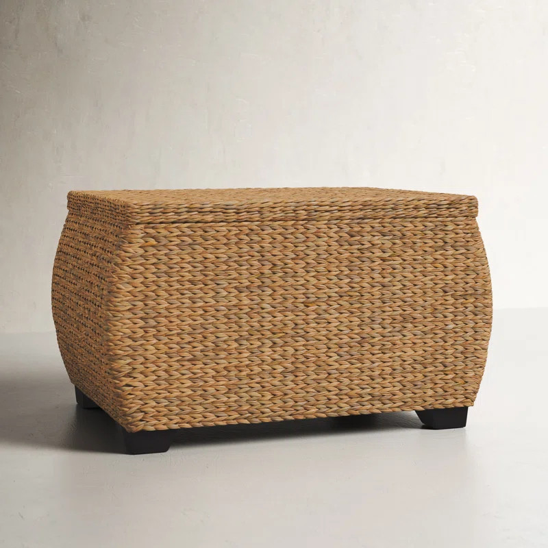 Natural Water Hacinth Wicker Box | Wayfair North America