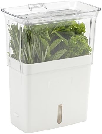 COLE & MASON Fresh Herb Keeper, Container, Clear | Amazon (CA)