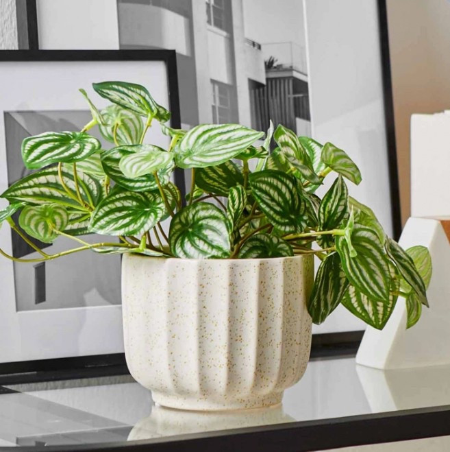 Walmart spring/summer finds! Speckled ribbed ceramic vase . ❤️

#LTKStyleTip #LTKHome #LTKFindsUnder50