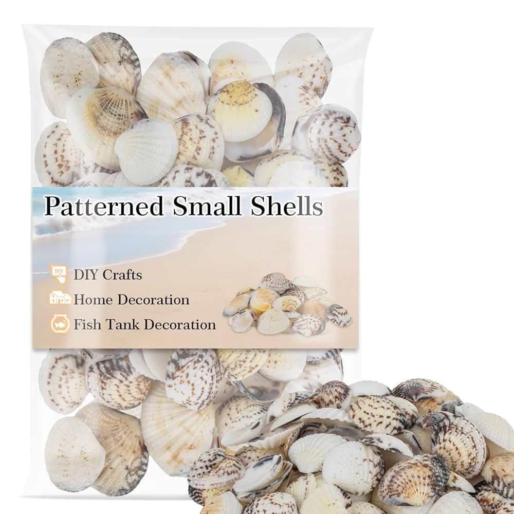 70 PCS Small Sea Shells - 0.8-1.2 in Natural Small Clam Shells for Crafts Tiny Seashells Bulk wit... | Amazon (US)