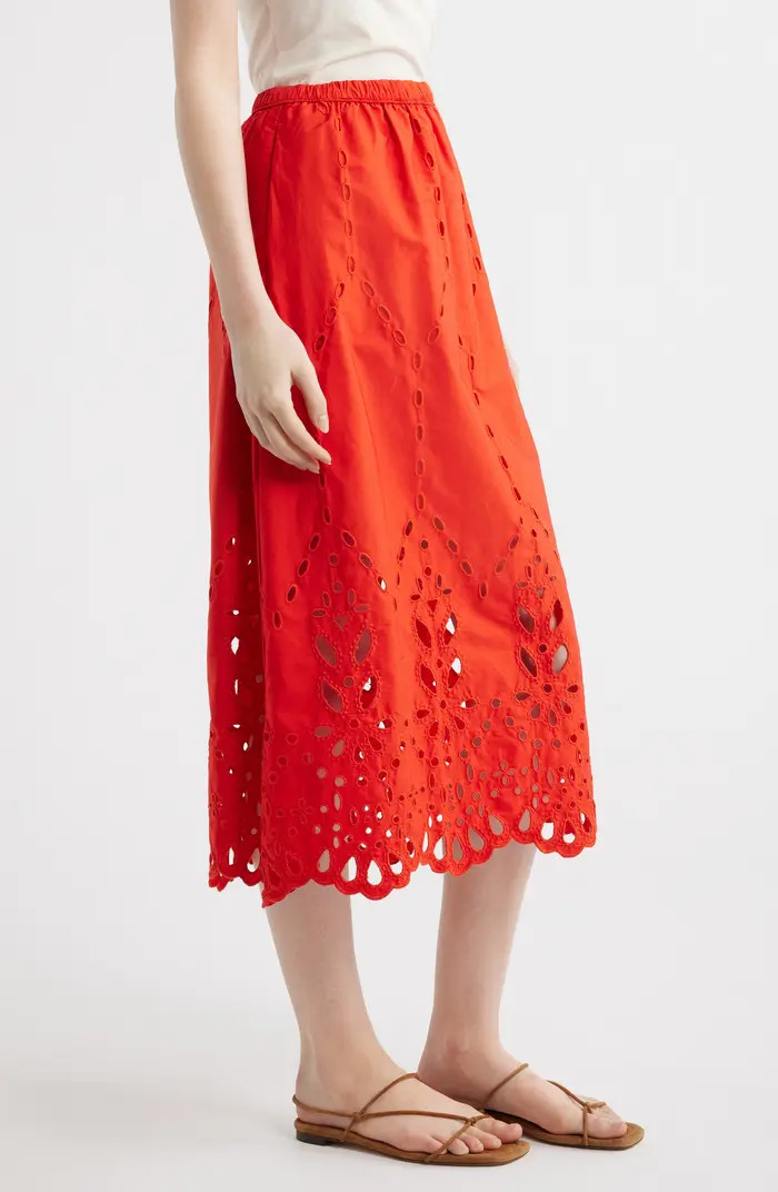 Embroidered Midi Skirt | Nordstrom
