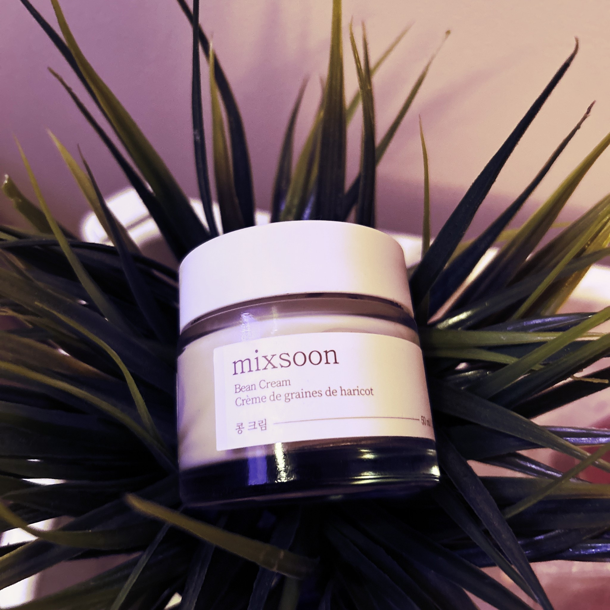 Mixsoon Bean Cream This Mixsoon skincare product stands out for its excellent reviews, lightweight texture, and deep hydration that many people mention in their results. Descubrimiento de skincare coreano ✨  
Este cuidado de Mixsoon destaca por sus excelentes reseñas, su textura ligera y la hidratación profunda que muchas personas mencionan en sus resultados✨#mixsoon


#LTKcanada #LTKbeauty