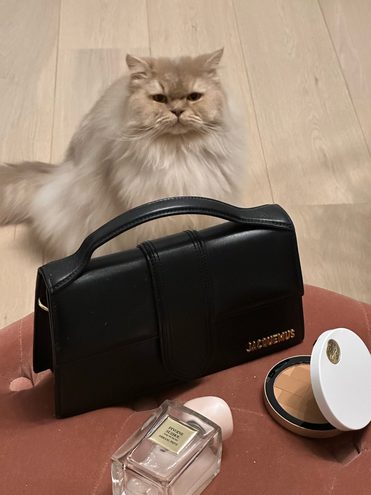 My cat loves Jacquemus too 😻🖤

#LTKitbag #LTKeurope #LTKstyletip
