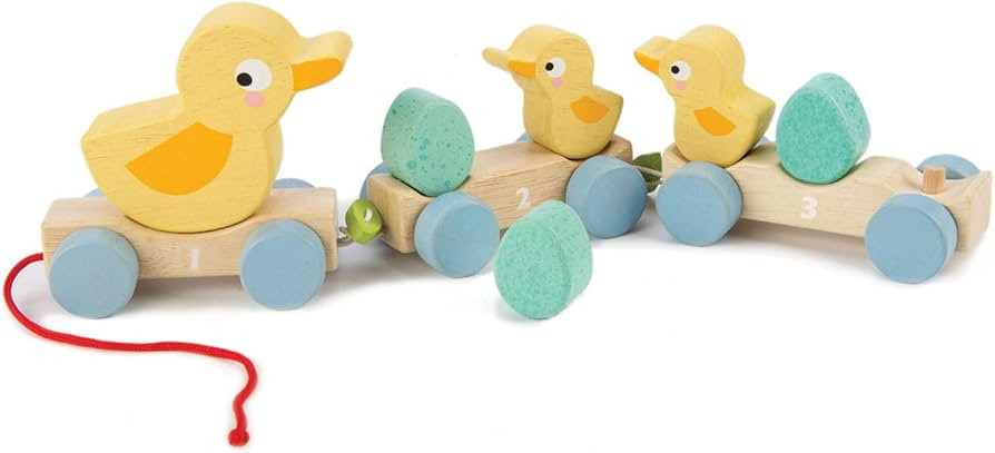 Tender Leaf Toys - Pull Along Ducks - Classic Wooden Pull Along Toy - 9pc Duck Family Set with 1 ... | Amazon (US)