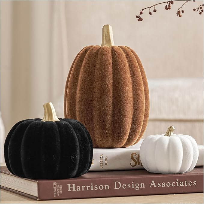 DN DECONATION 3 Pcs Fall Pumpkin Decorations – Flocked White Brown Black Resin Pumpkins Figurin... | Amazon (US)