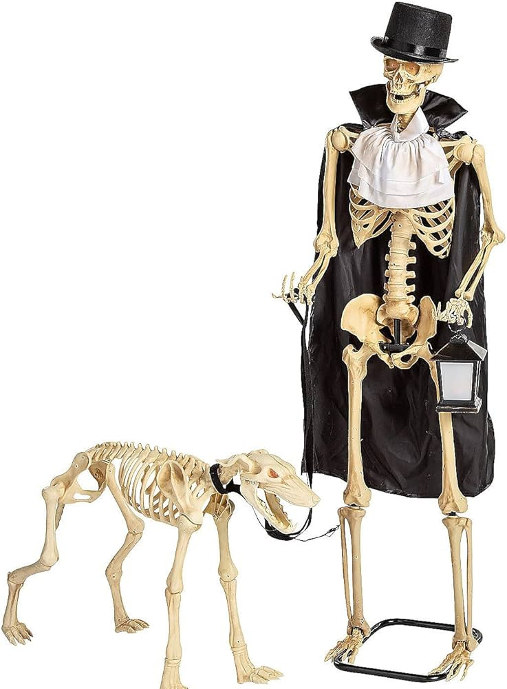 Fun Express Animated Skeleton & Dog Halloween Decorations - Scary Home Decor - 2 Pieces | Amazon (US)