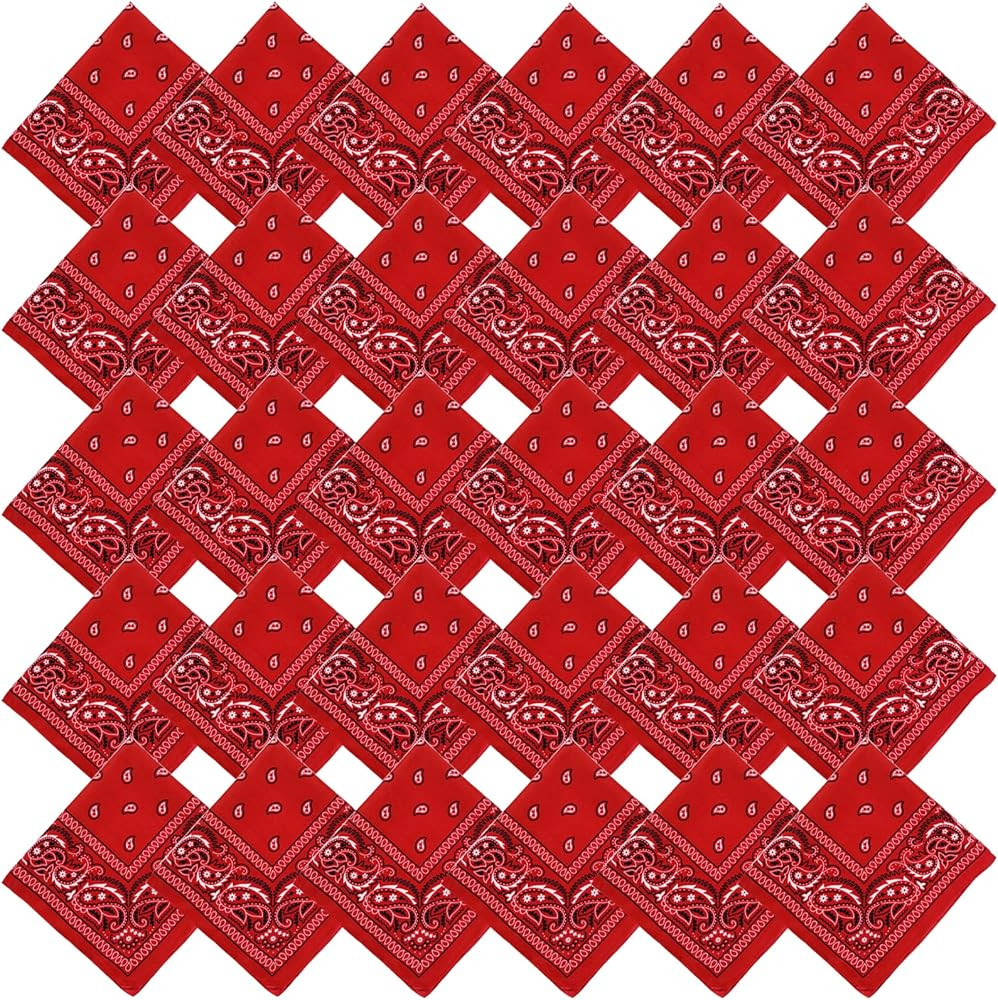 Tergy 16-30 Pieces Unisex Paisley Bandanas Bulk Multi-Purpose Headband Cowboy Head Wrap Scarf for... | Amazon (US)