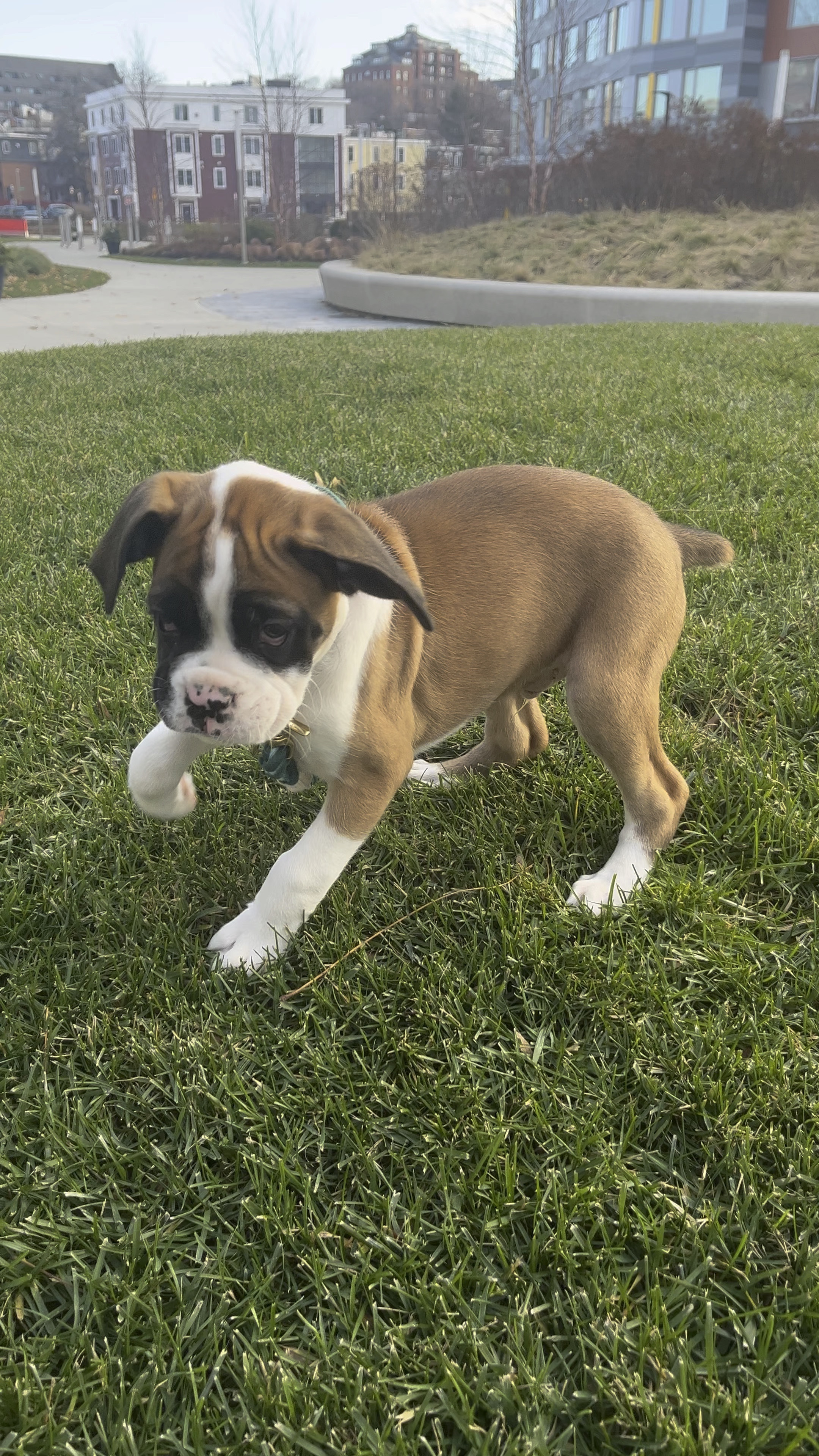 Toro essentials: 0-3 months 

#LTKhome #LTKunder50