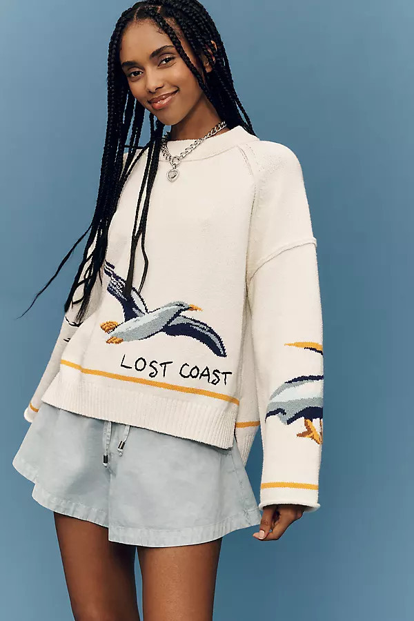 Lost Coast Long-Sleeve Crew-Neck Sweater | Anthropologie (US)