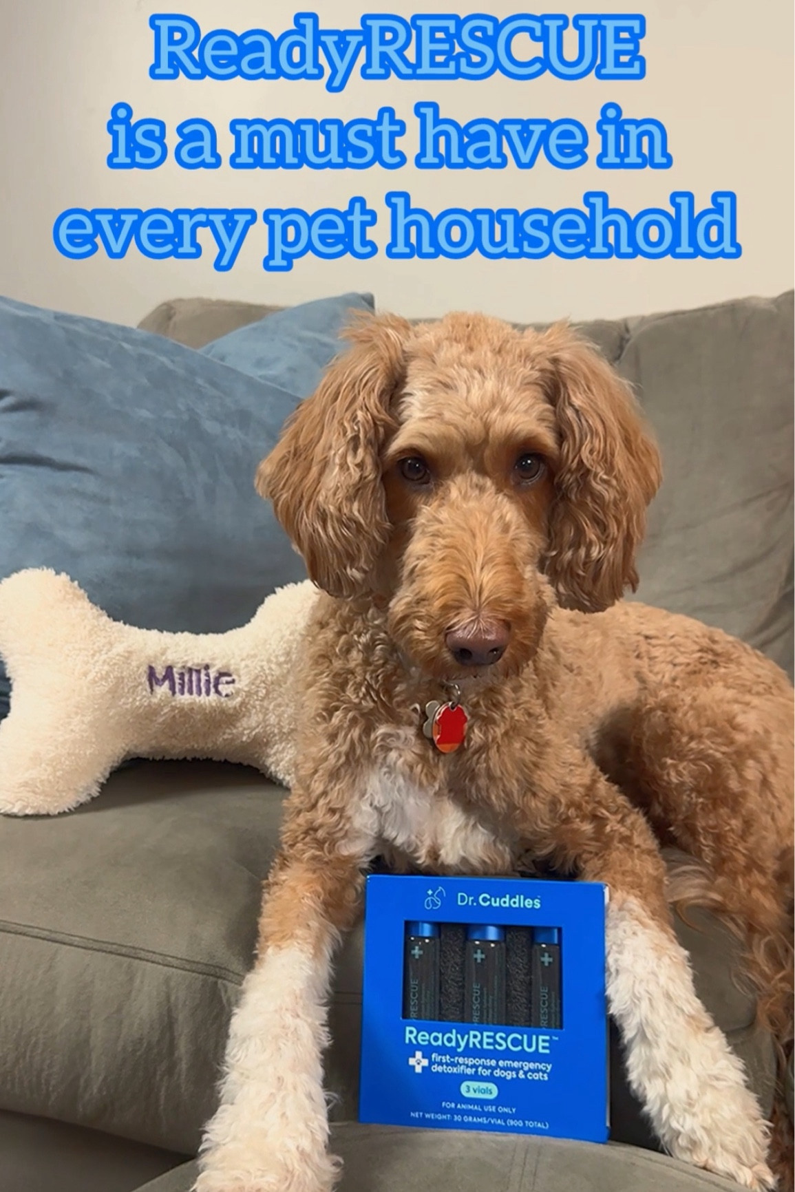 What would you do if your pet ate something toxic by accident?? 🐶 

ReadyRESCUE™ gives both dog AND cat owners peace of mind when it comes to curious and mischievous pets! 🐾 It is an emergency essential for any pet household that allows you to initiate life-saving treatment when time matters most, helping to bind toxins before they can enter your pet's bloodstream.

#LTKHoliday #LTKsalealert #LTKGiftGuide