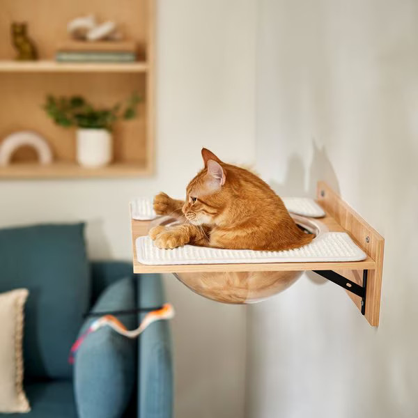 FRISCO Acrylic Bowl Wall Mounted Cat Wall Shelf - Chewy.com | Chewy.com