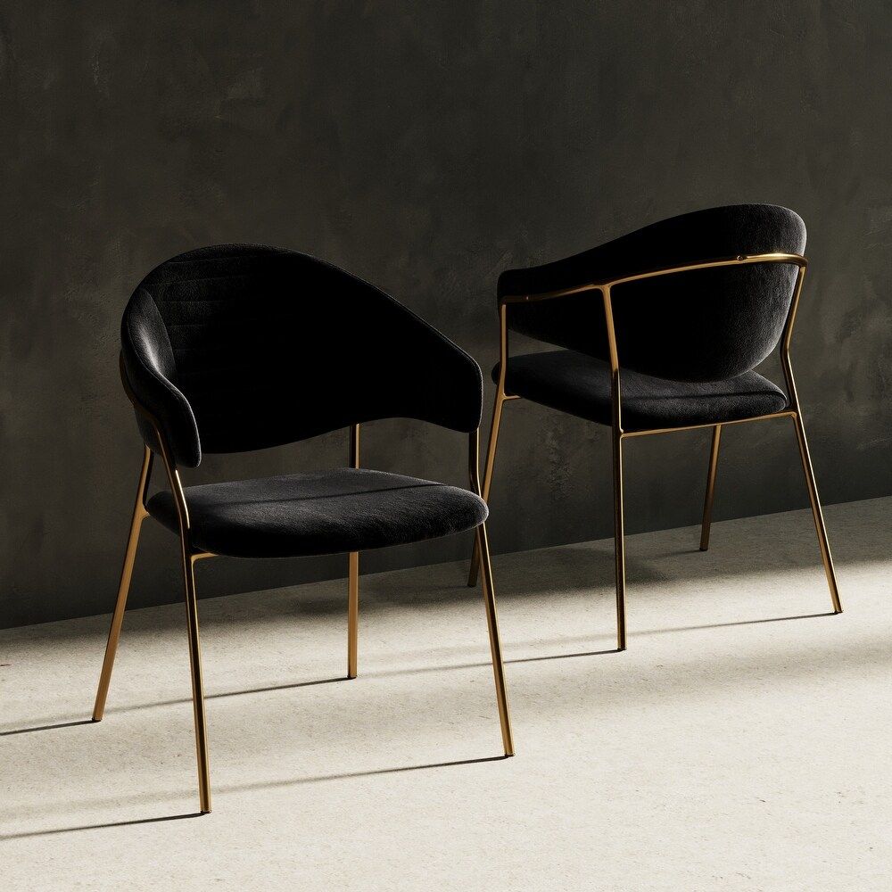 Modrest Trevor Modern Black Velvet & Gold Dining Chair (Set of 2) (Set of 2 - Dining Height) | Bed Bath & Beyond