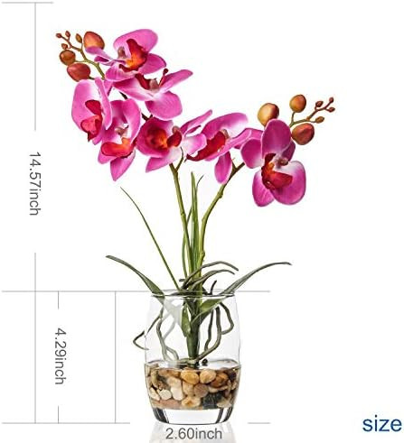 Jusdreen Artificial Flower Bonsai with Glass Vase Vivid Orchid Flowers Arrangement Phalaenopsis Flow | Amazon (US)