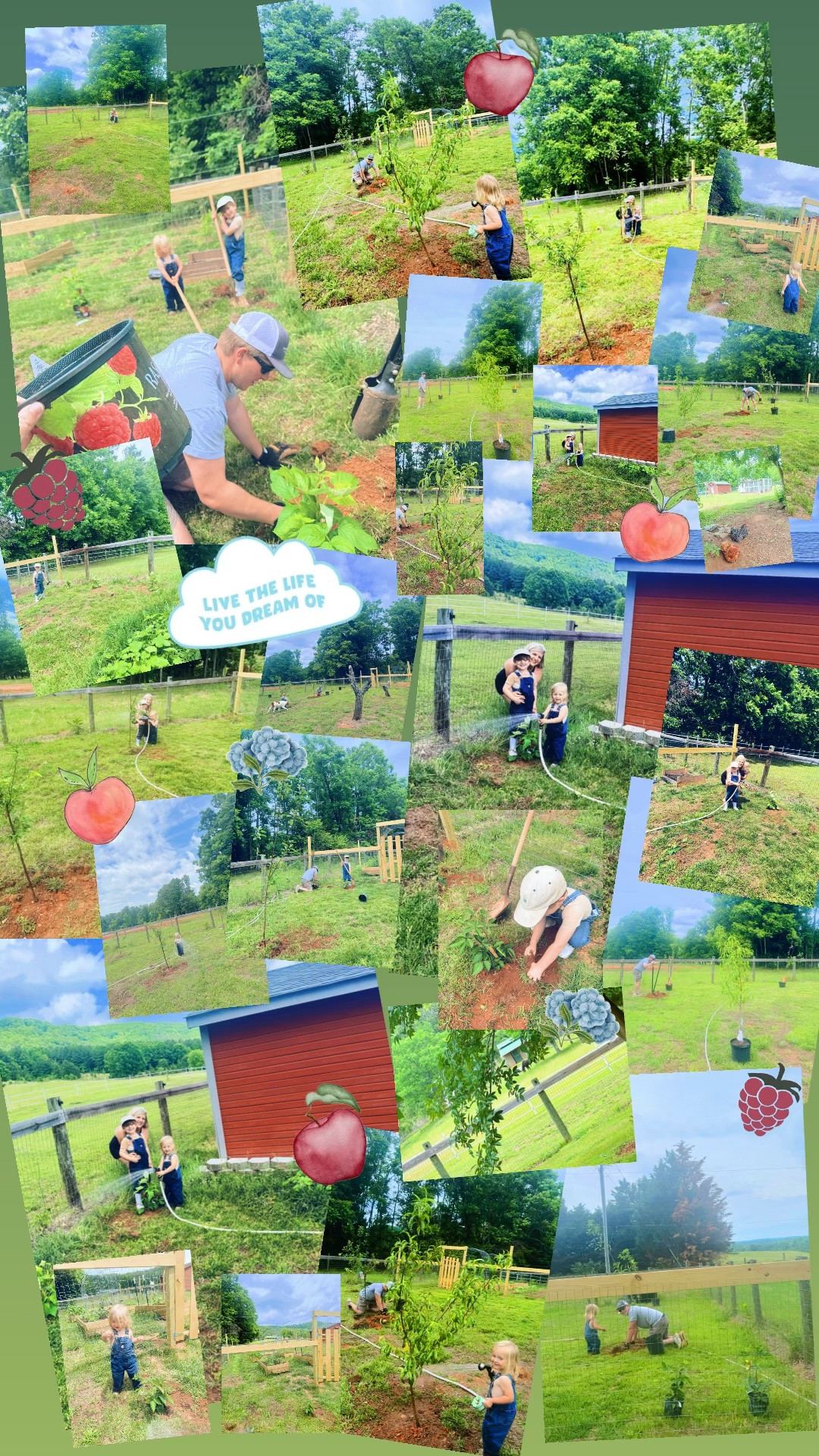 Live the life you dreamed of 🍎🪏👩‍🌾🌳🍑🪴💭