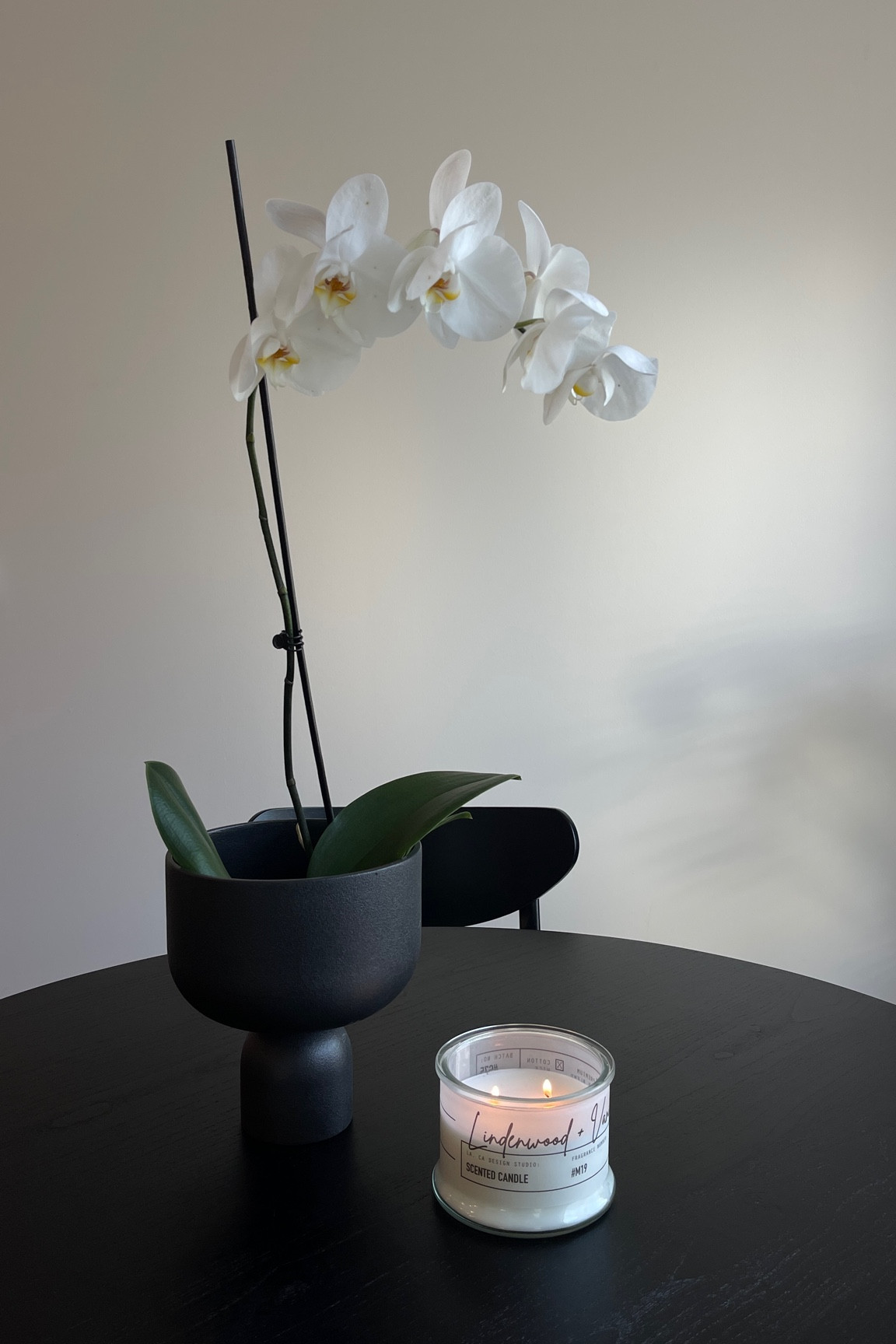 time to stock up on fall candles 🤌🏽🍂🧸 this is one of my fav scents!! smells sooo fresh and cozy in your home 

#LTKhome #LTKSeasonal #LTKFind