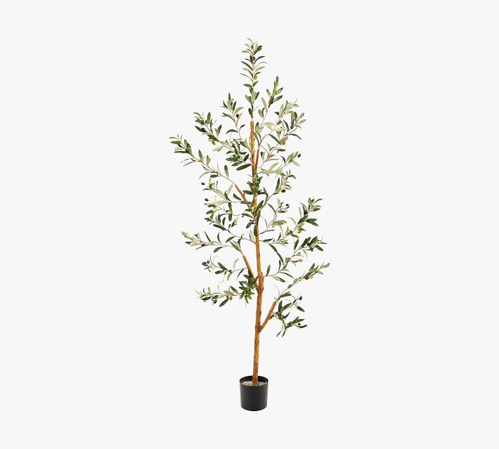 Faux Potted Olive Tree, 36" | Pottery Barn (US)