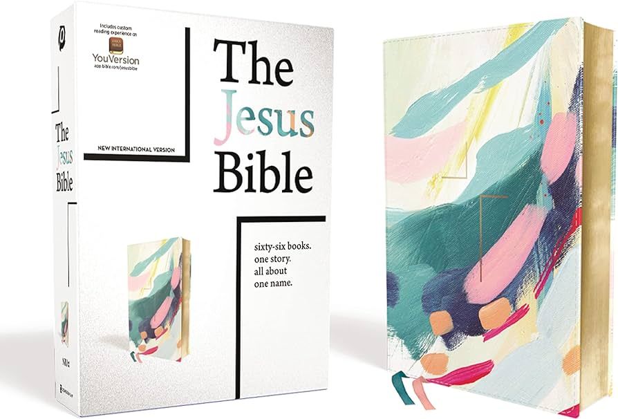 The Jesus Bible Artist Edition, NIV, Leathersoft, Multi-color/Teal, Comfort Print | Amazon (US)