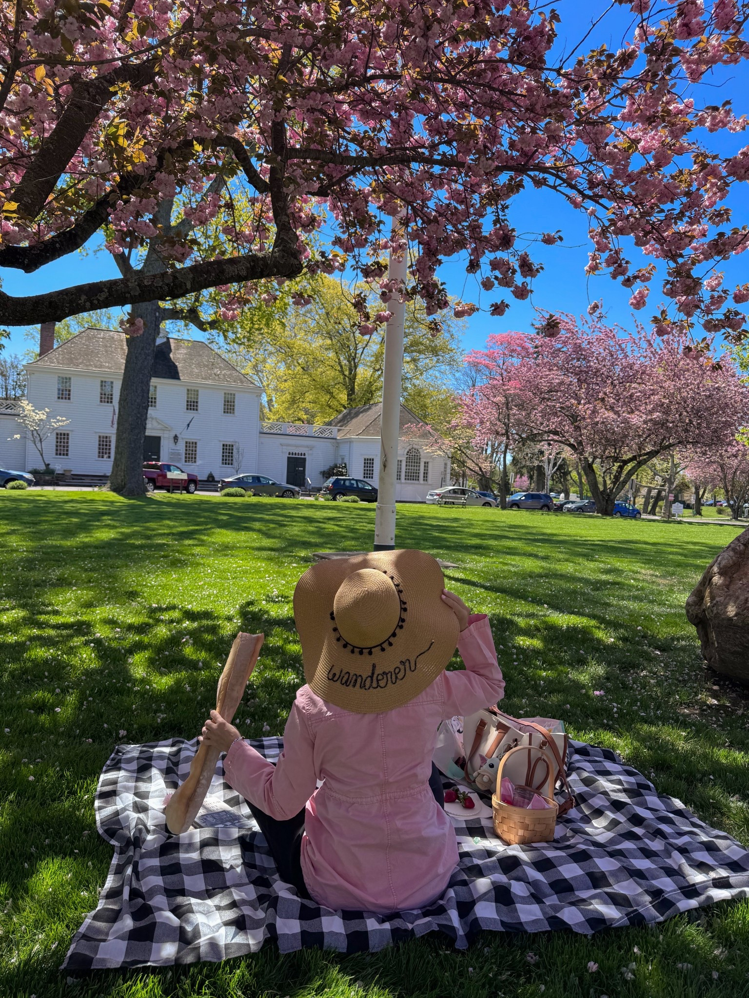 Had a picnic near the cherry blossoms today 🌸

#LTKSeasonal #LTKOver40 #LTKdayinmylife